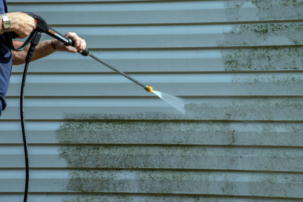 Best Roof Washing  in Sylacauga, AL